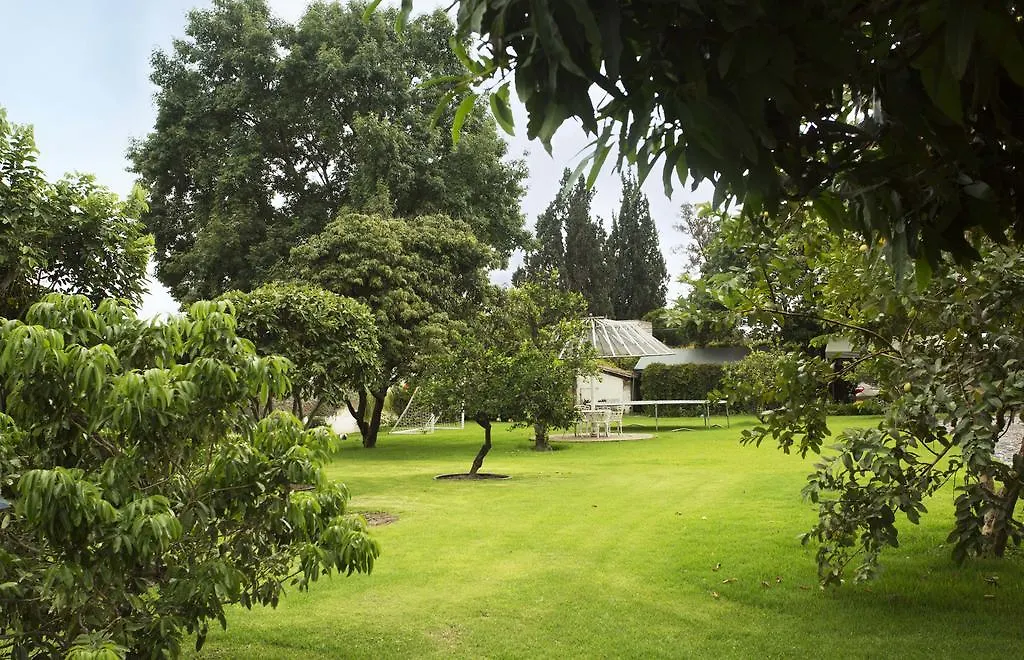瓜达拉哈拉La Casita De Fraida公寓 瓜达拉哈拉